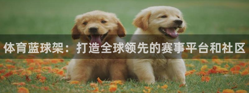 体育蓝球架：打造全球领先的赛事平台和社区